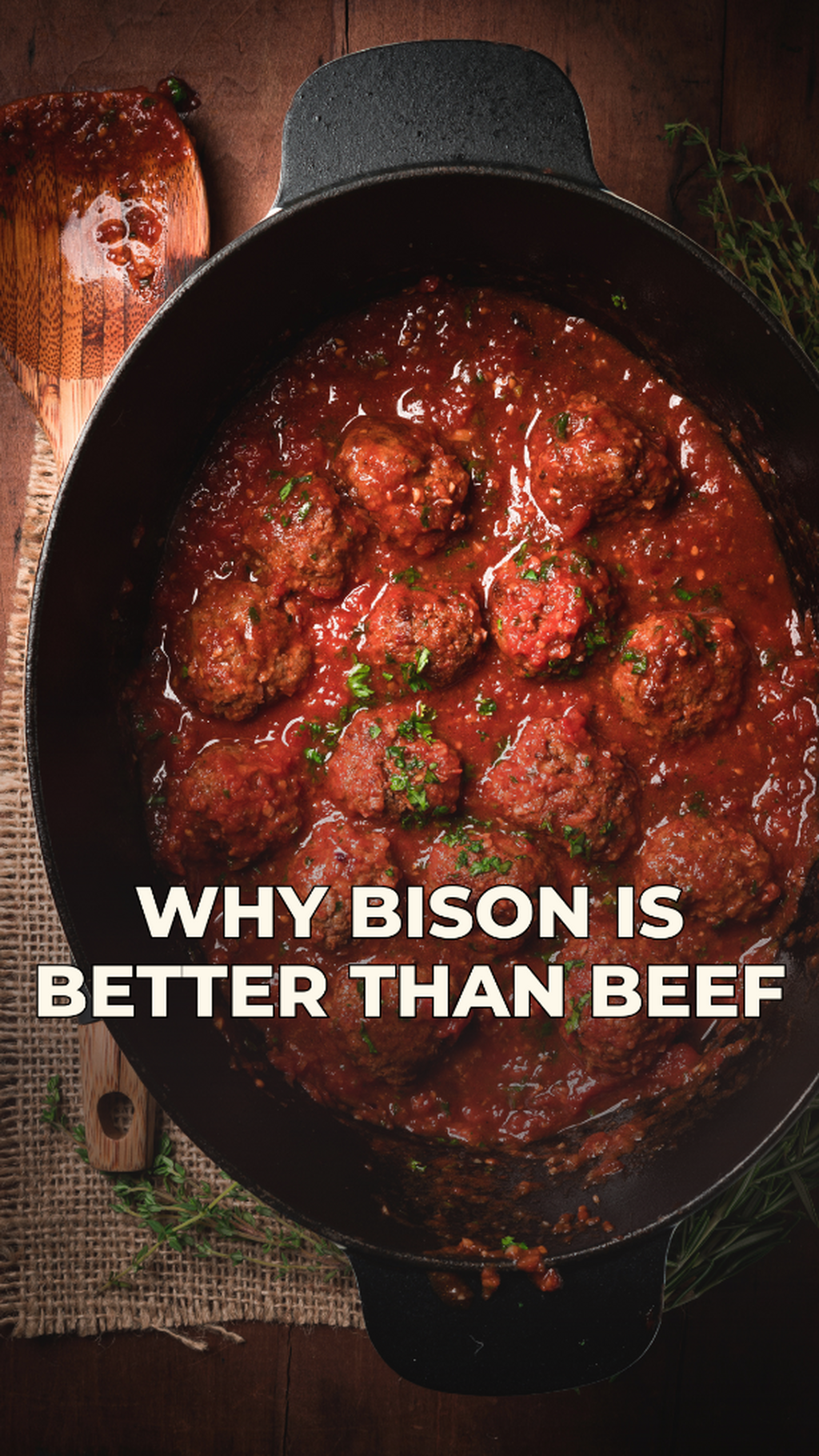 Bison Meatballs with Zesty Tomato Sauce