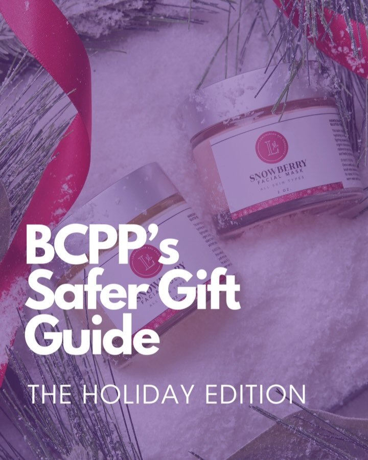 Safe Holiday Shopping Guide