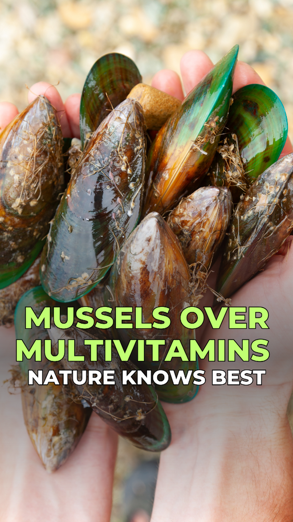 Stuffed Mussels