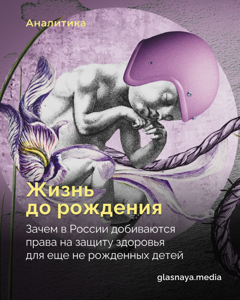 Жизнь до рождения