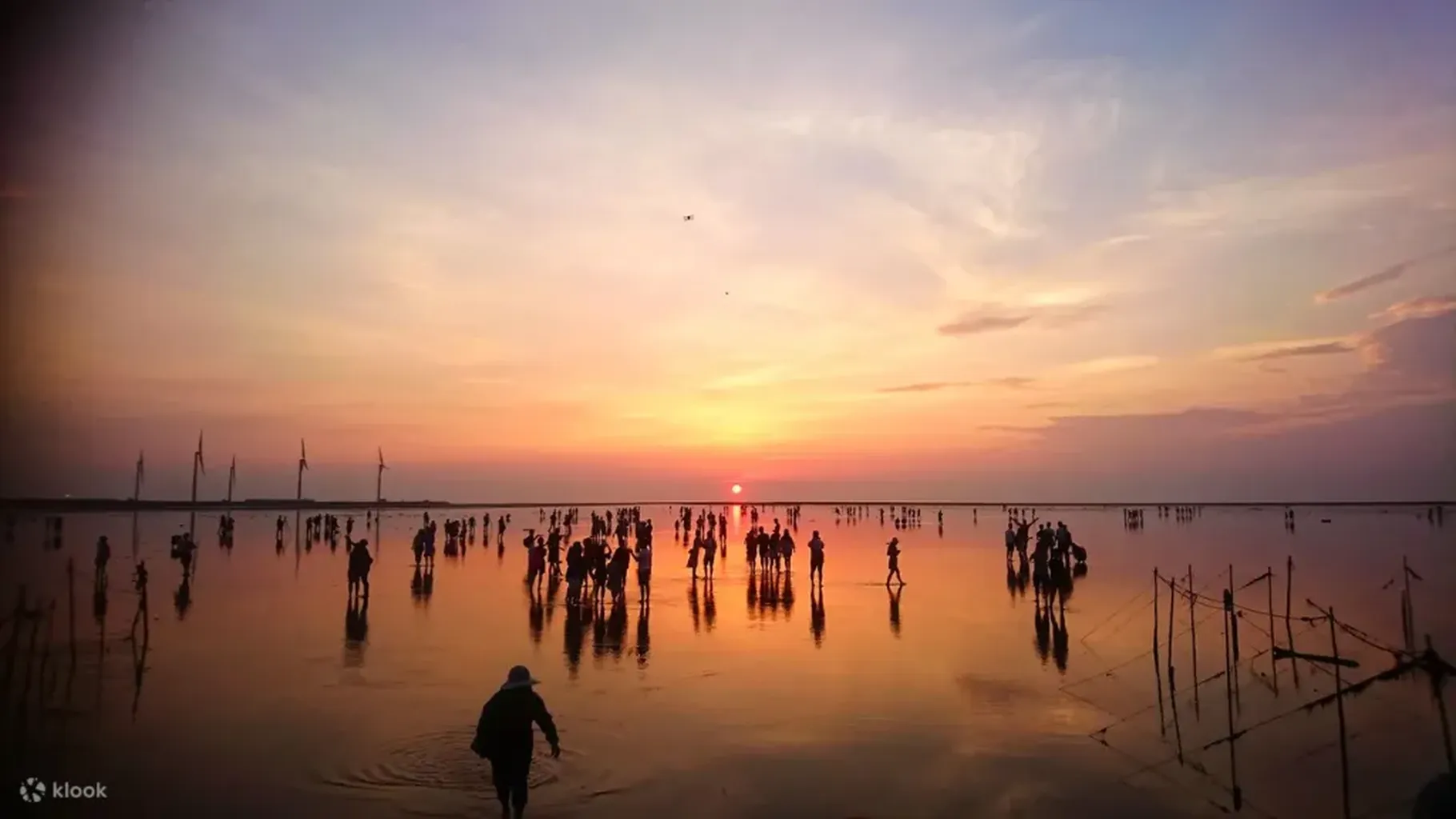 [Free Bubble Tea🧋] Gaomei Wetlands & ZhongShe Flower Market Tour