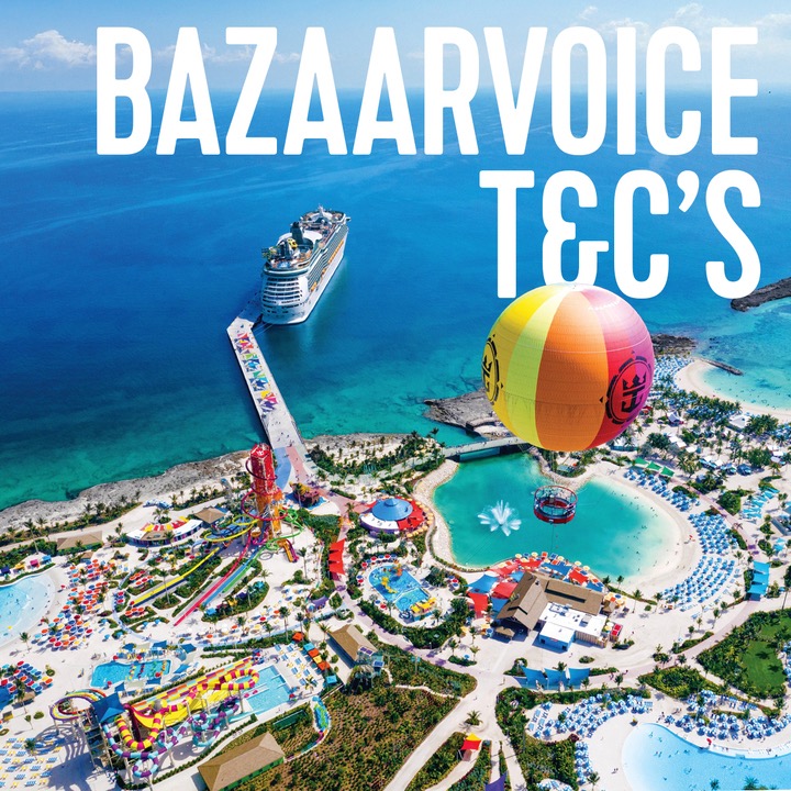 Bazaarvoice T&C's