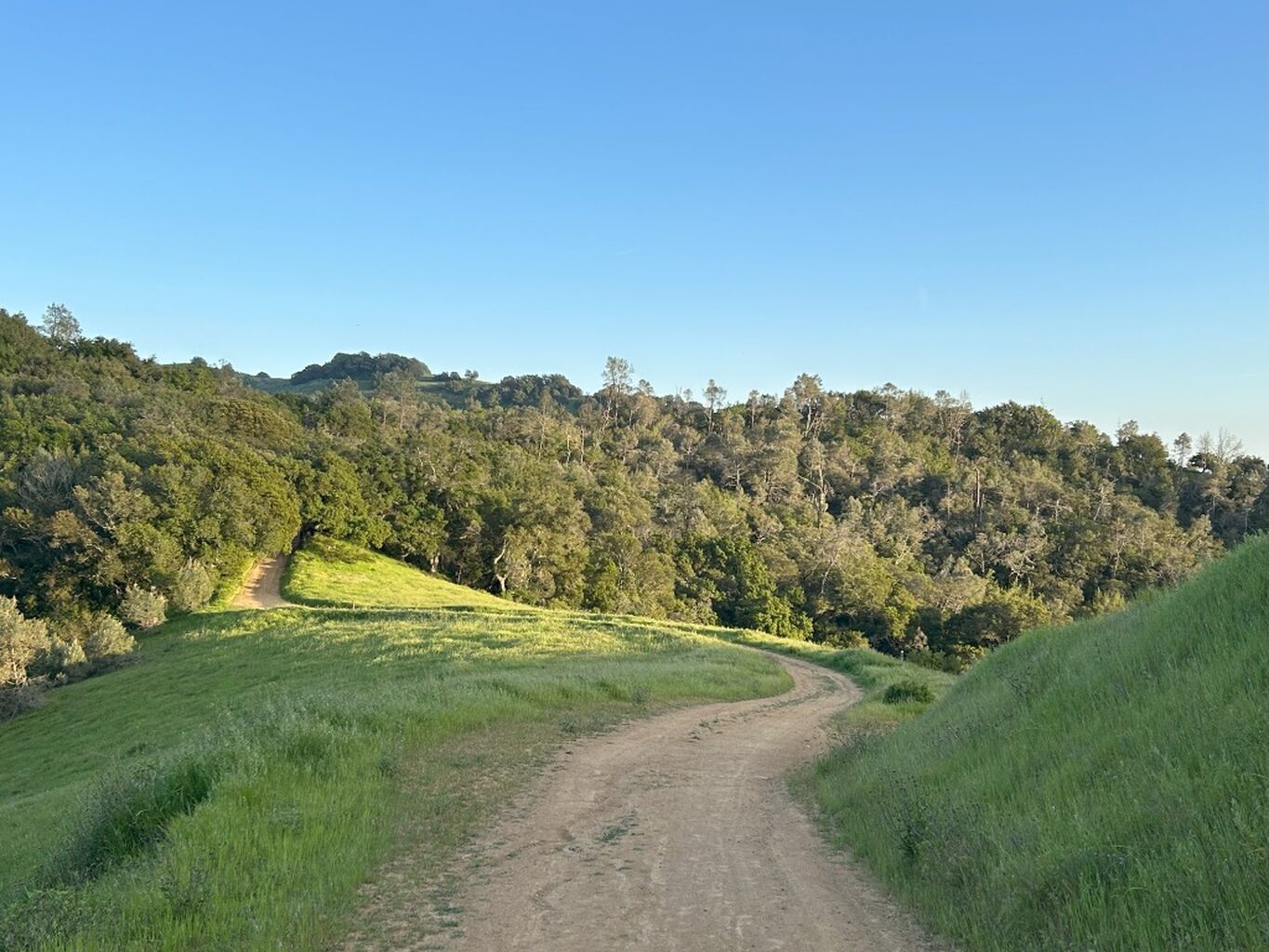 HIKES IN THE DIABLO RANGE