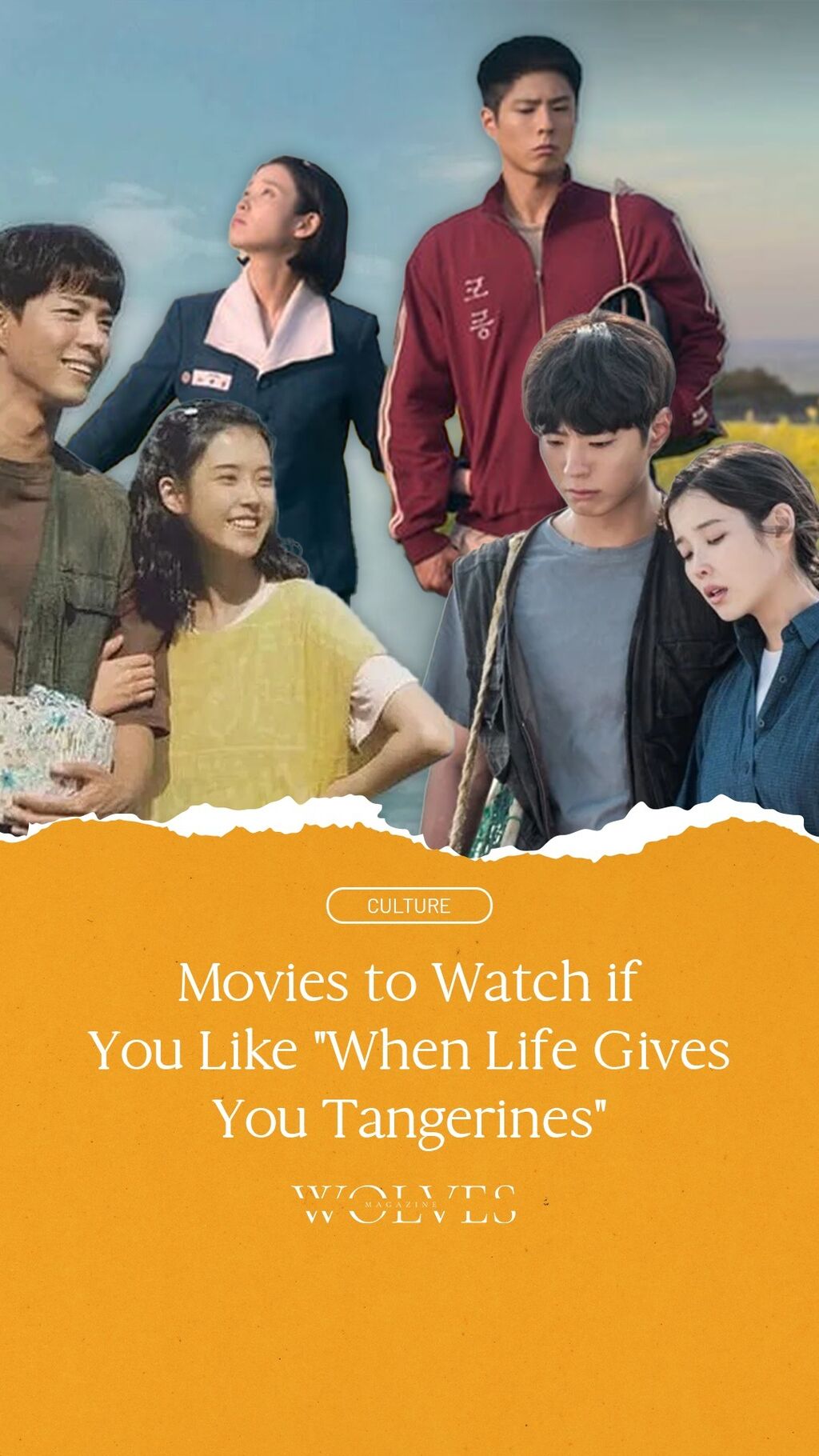 6 Must-See Films Just Like &ldquo;When Life Gives You Tangerines&rdquo;
