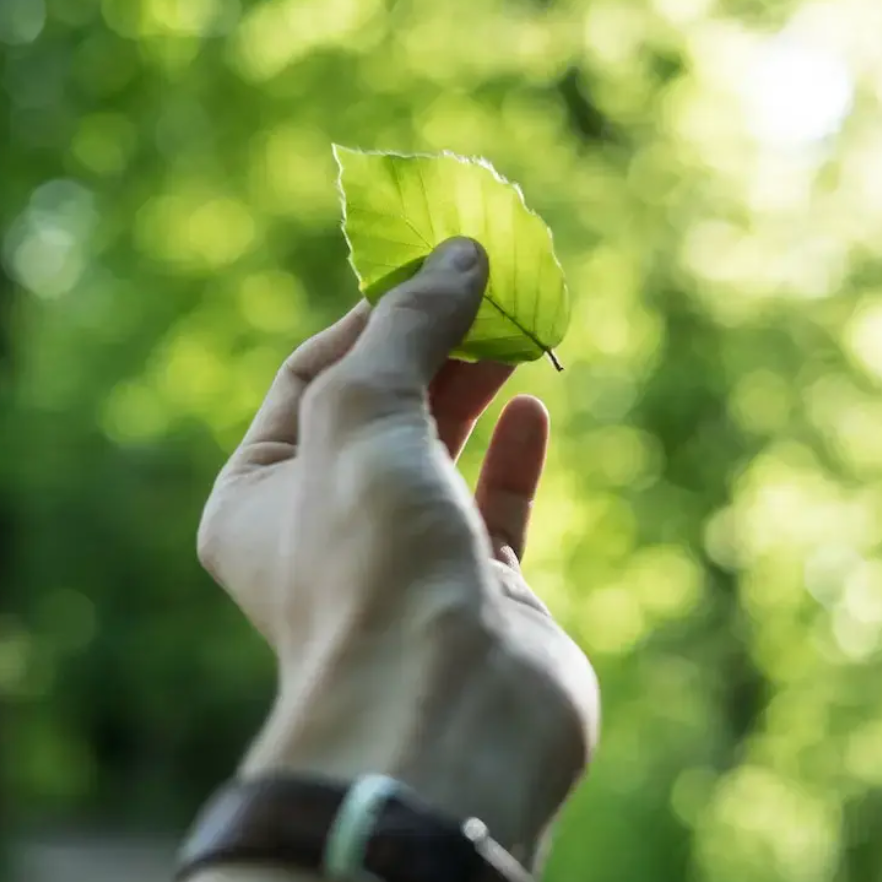 Sustainability Management Master