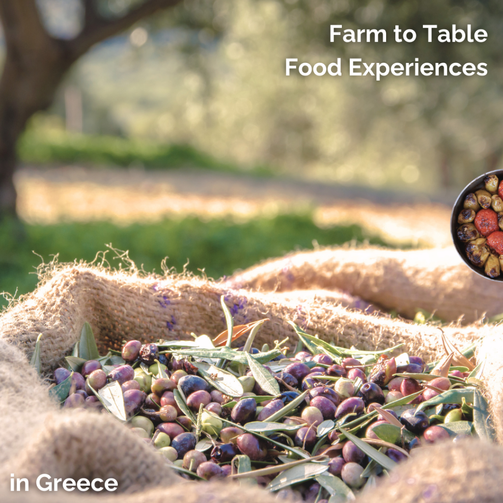 Farm to Table Greek Experiences