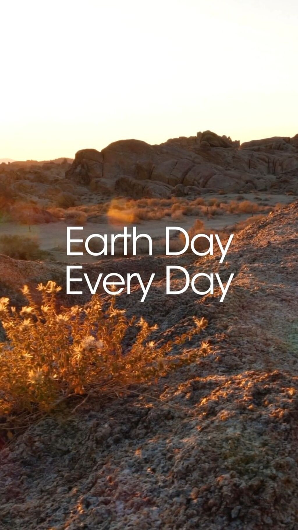 Every Day Earth Tips