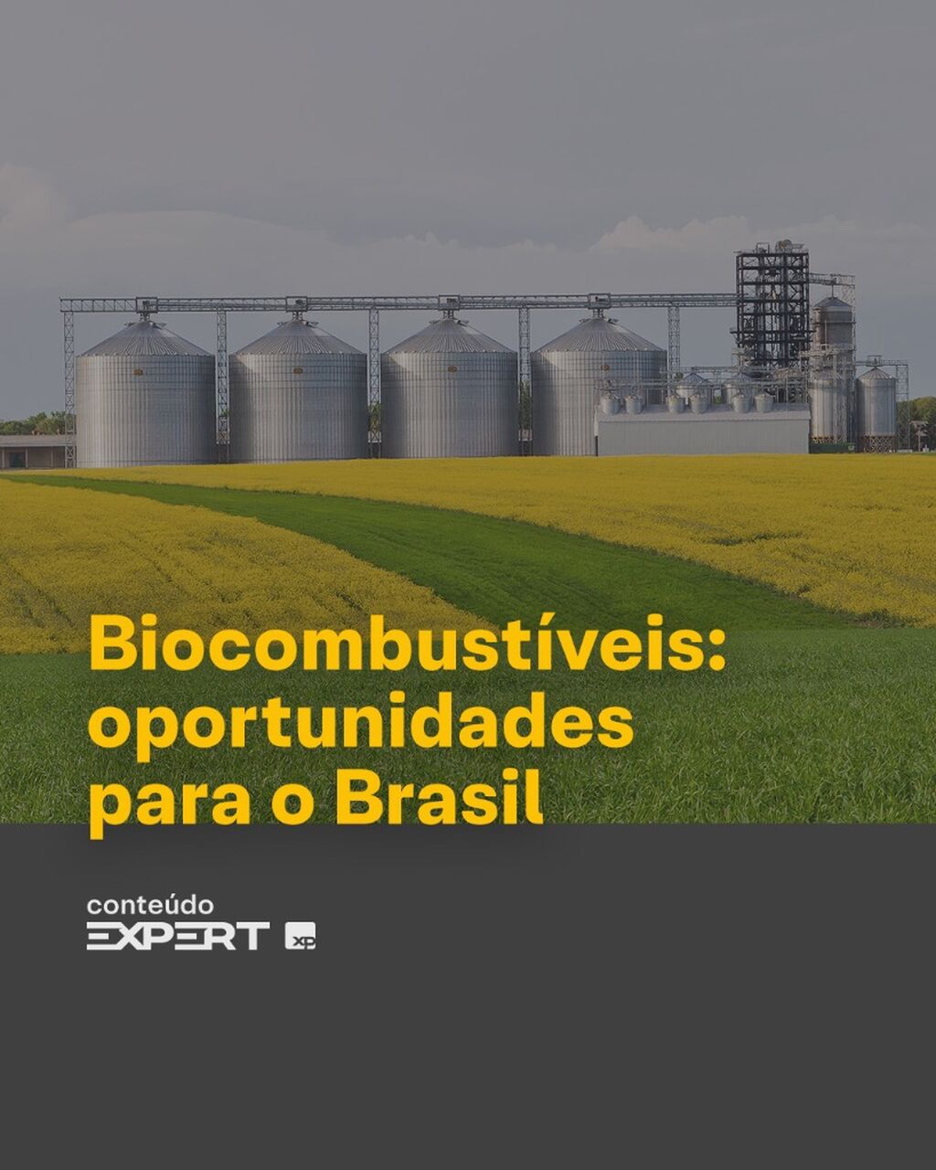 Biocombust&iacute;veis: explorando oportunidades para o Brasil