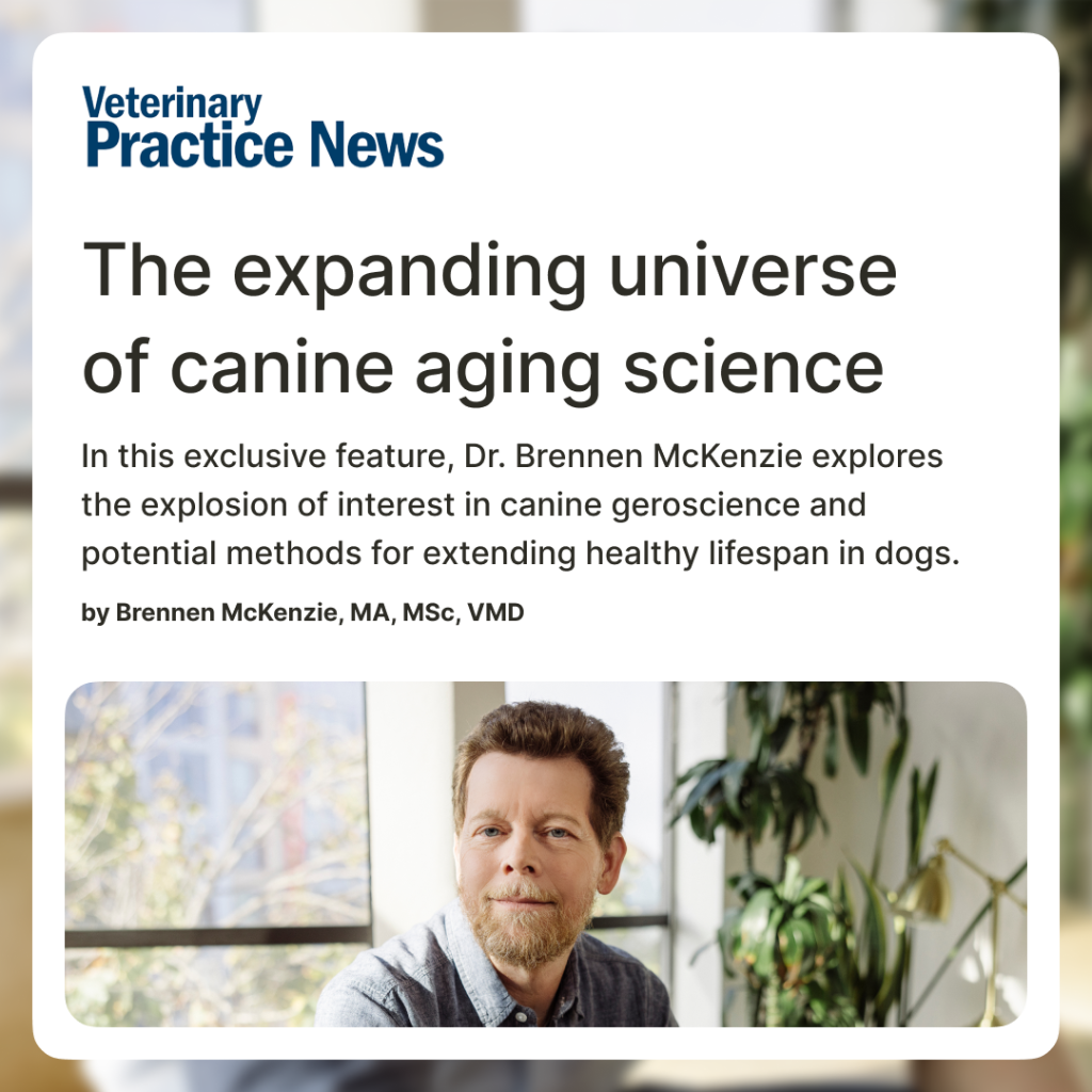 Veterinary Practice News - The expanding universe of canine aging science