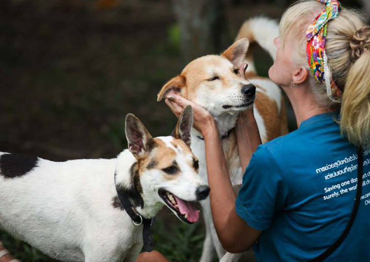 10 Reasons Why You Should Adopt, Don&rsquo;t Shop!