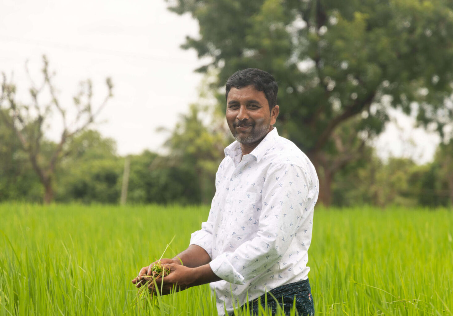Nijavalli: Where soil and spirit converge - Rural Development Trust