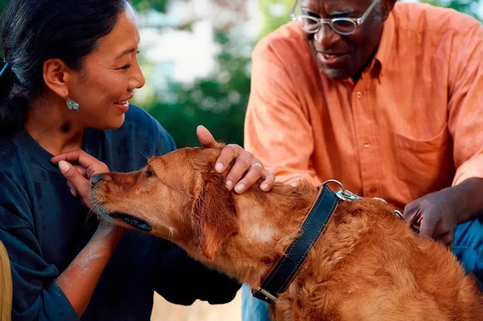 Nuevas perspectivas de la atenci&oacute;n veterinaria