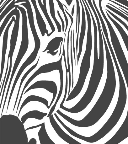 Conditions linked to EDS - The Ehlers-Danlos Support UK