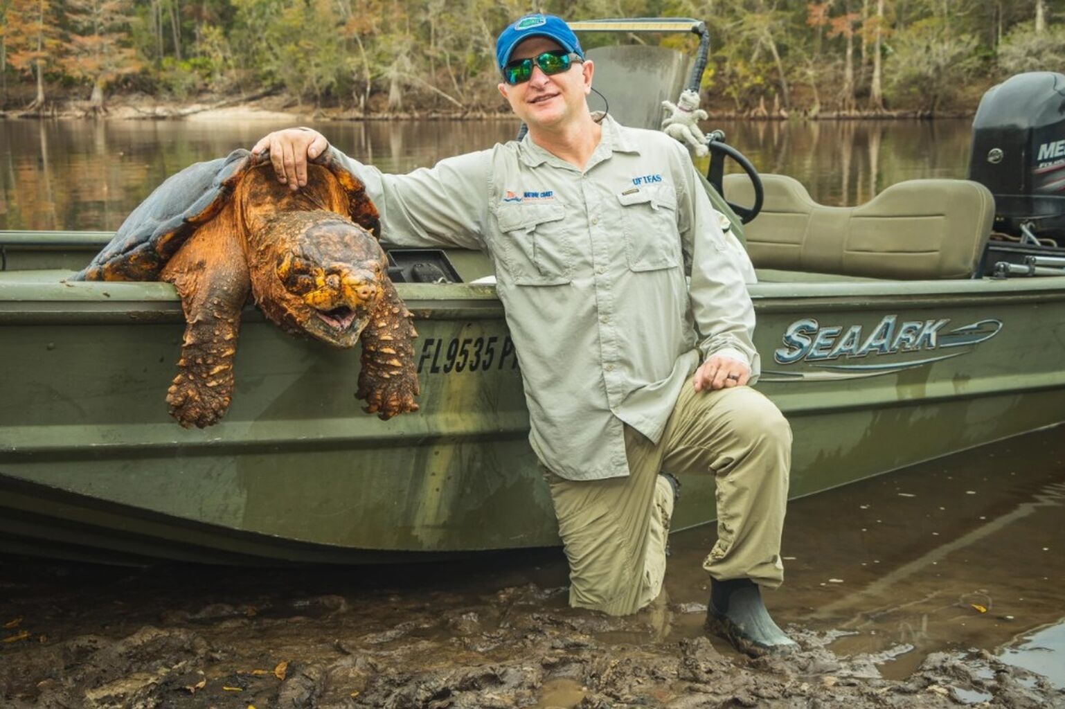 Suwannee Alligator Snapping Turtle 