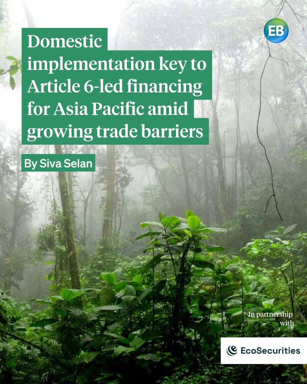 Domestic implementation key to Article 6-led financing for Asia Pacific amid growing trade barriers: EcoSecurities