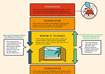 The Window of Tolerance