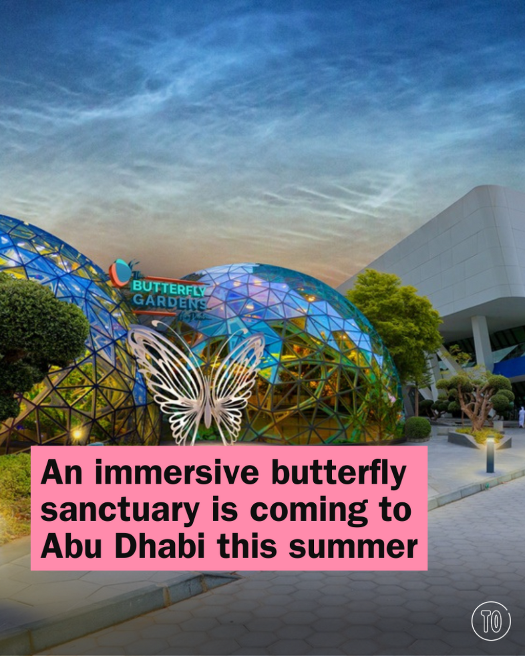 An immersive butterfly sanctuary is coming to Abu Dhabi this summer