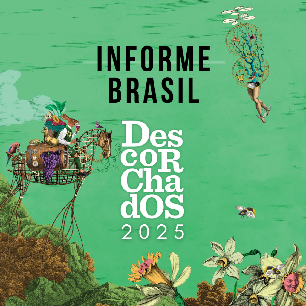 INFORME DESCORCHADOS BRASIL 2025