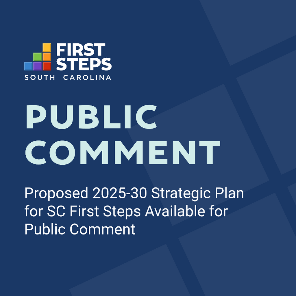 Public Comment