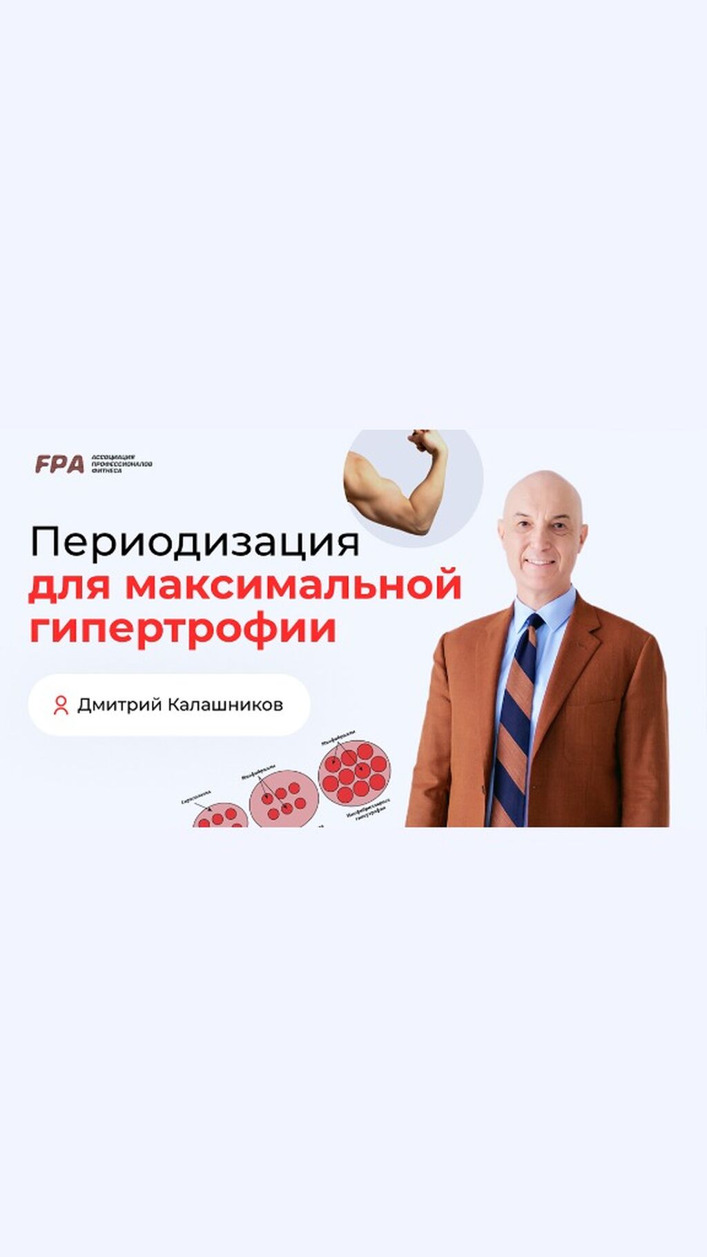 Периодизация для максимальной гипертрофии
