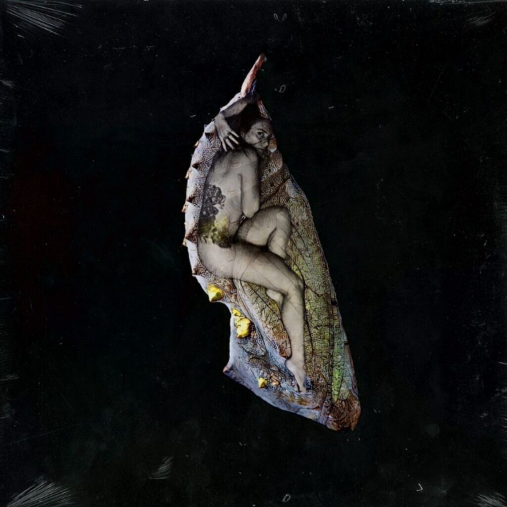 Buy / Stream Shuggah - Her Chrysalis