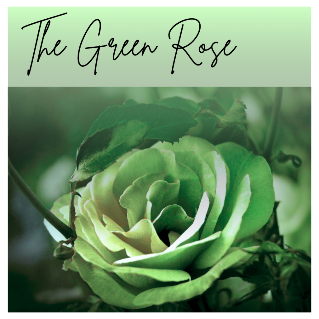 The Green Rose Blog Post