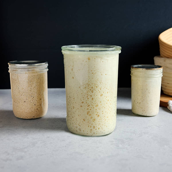  Sourdough Starter Ratio Guide