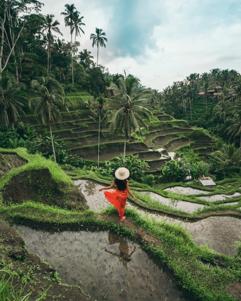 LOMBOK WATERFALL + MONKEY FOREST PRIVATE DAY TOUR