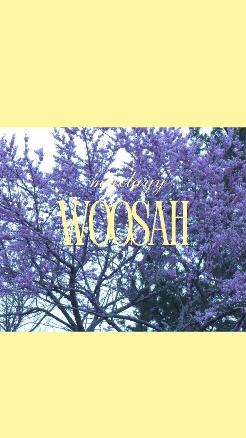 woosah audio- mirclayy (lnk.bio xclusive) 