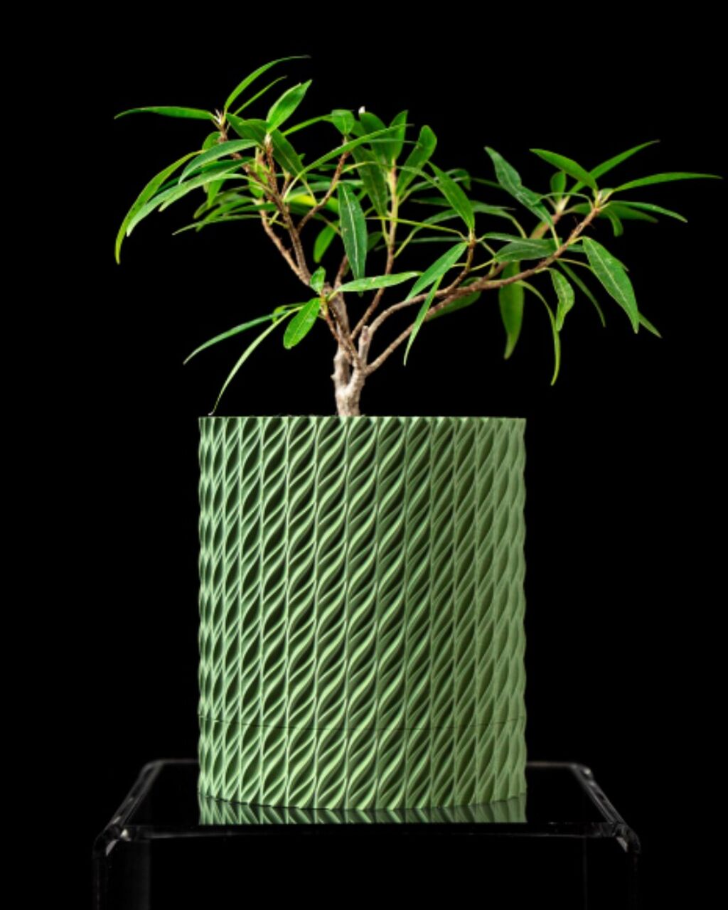 Flower Planter Pot