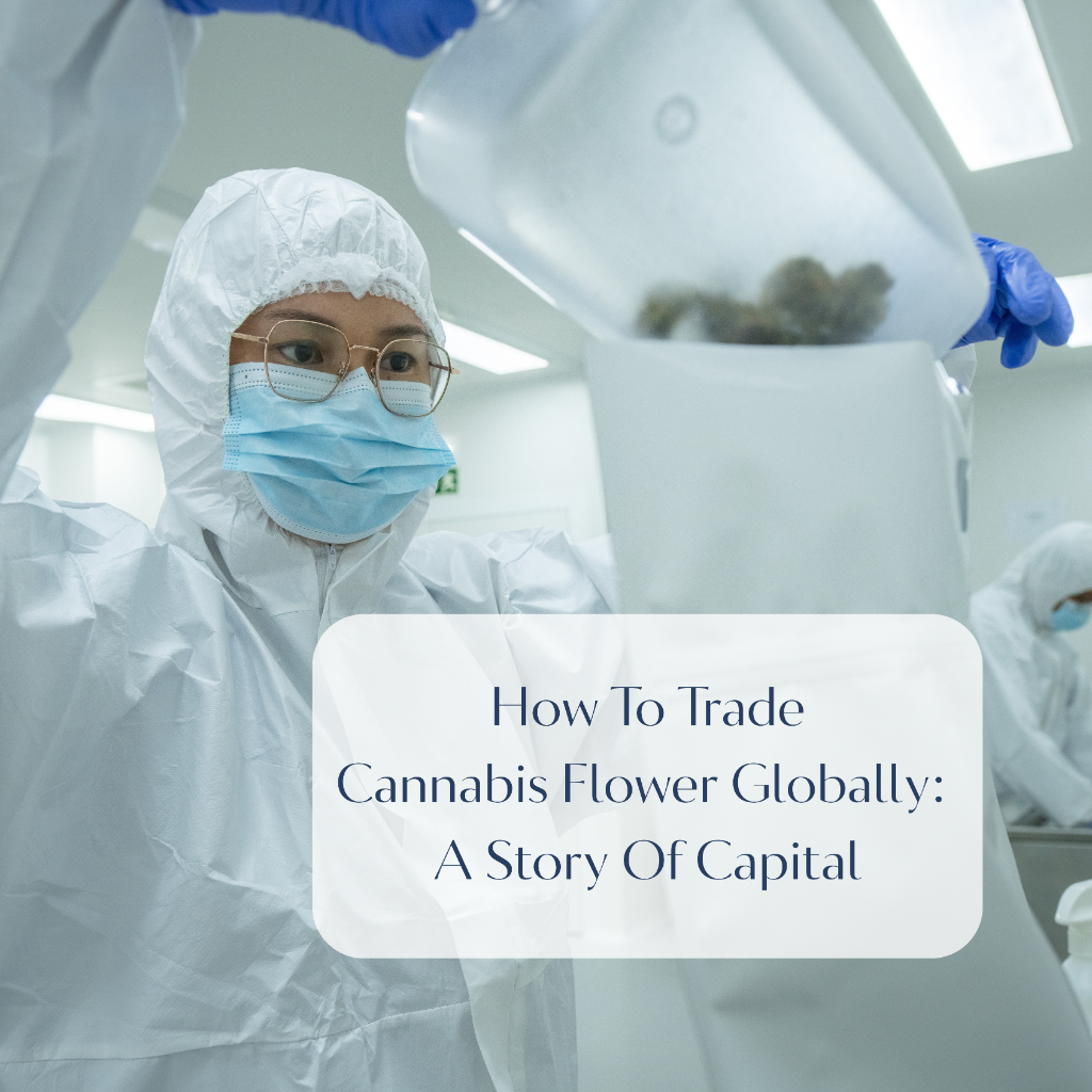  How To Trade Cannabis Flower Globally: A Story Of Capital