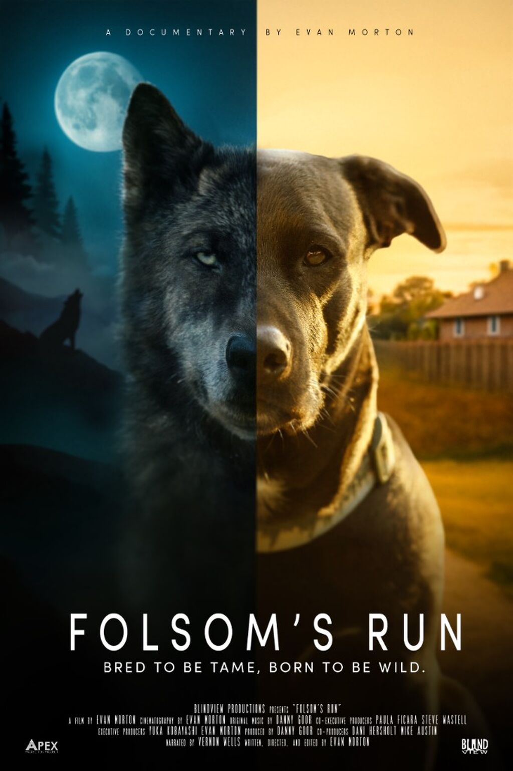 FOLSOM'S RUN - WEBSITE