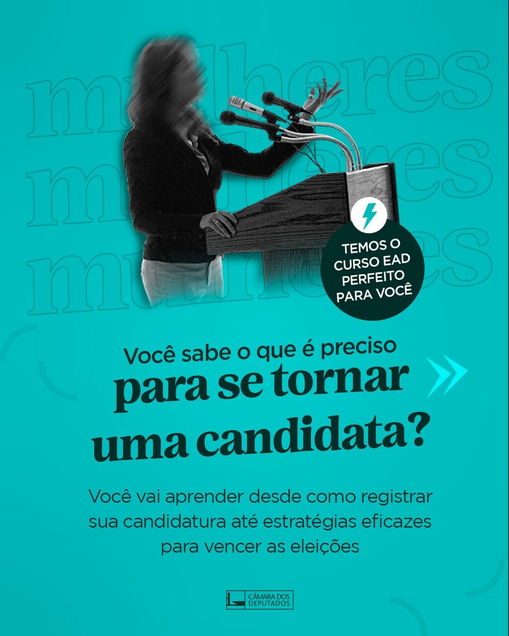 Curso Mulheres na Pol&iacute;tica