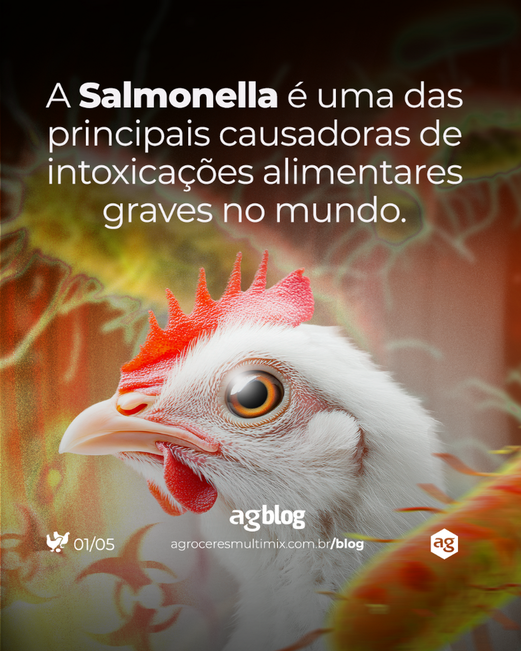 Acesse j&aacute; o agBlog e entenda como probi&oacute;ticos, prebi&oacute;ticos, &aacute;cidos org&acirc;nicos e fitoter&aacute;picos t&ecirc;m mostrado resultados promissores na preven&ccedil;&atilde;o e controle da salmonelose em aves