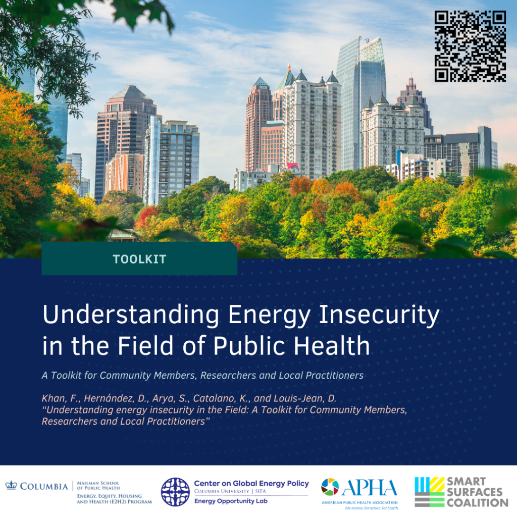 Understanding Energy Insecurity