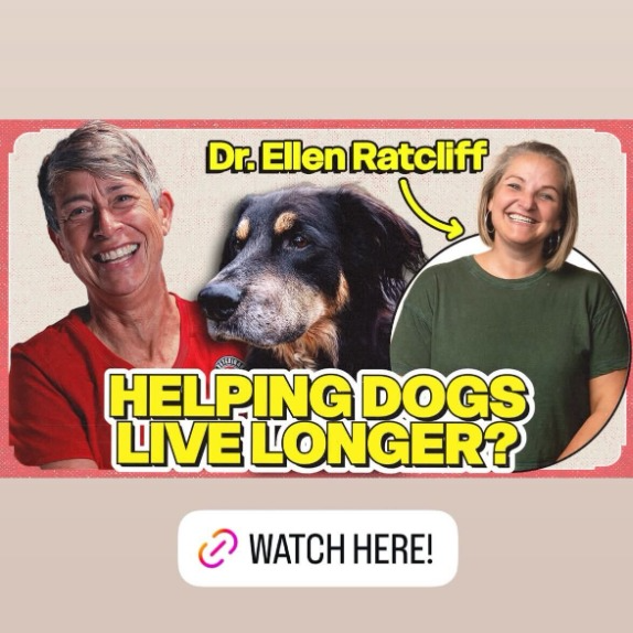 Dr. Ellen on The Veterinary Roundtable