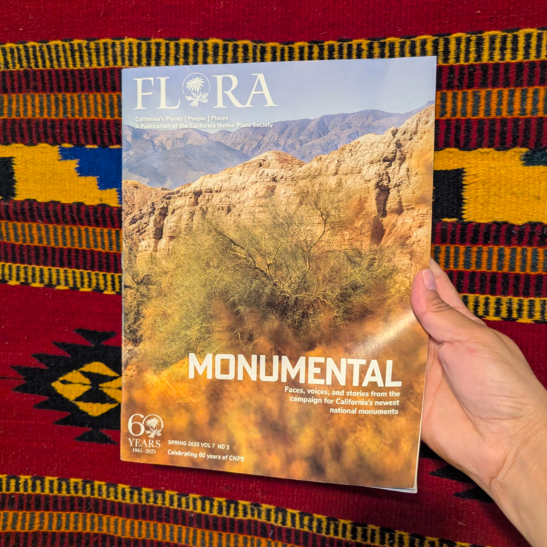 Monumental - Flora Magazine Spring 2025