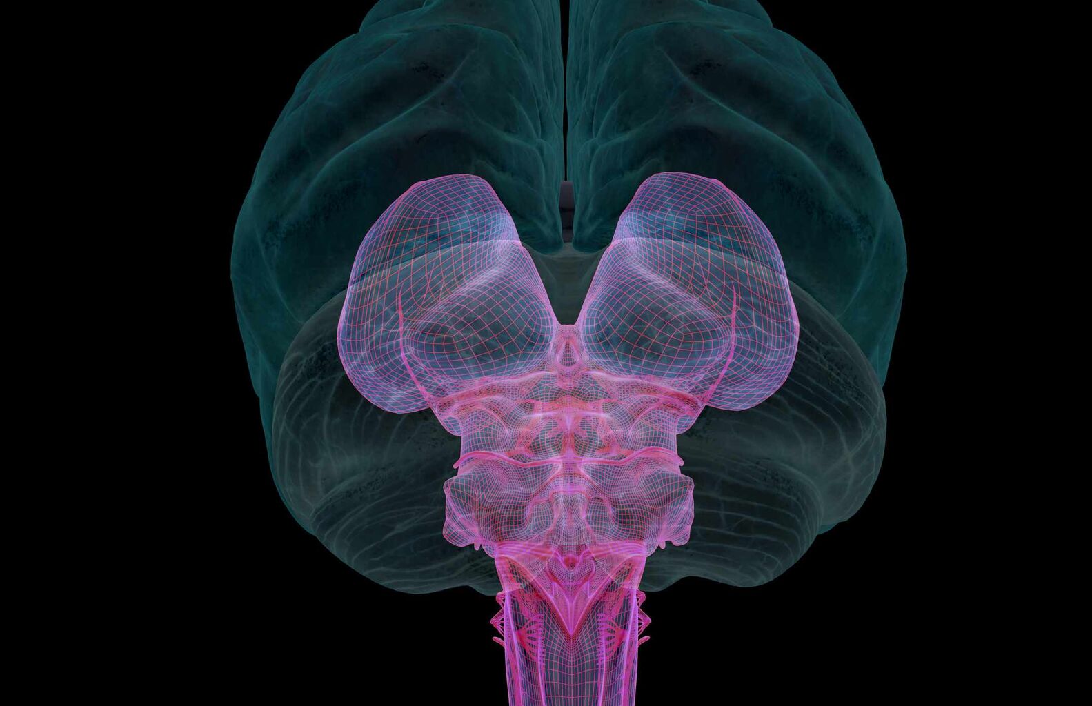 How Does Our Vagus Nerve Impact How We Respond to Social Situations?