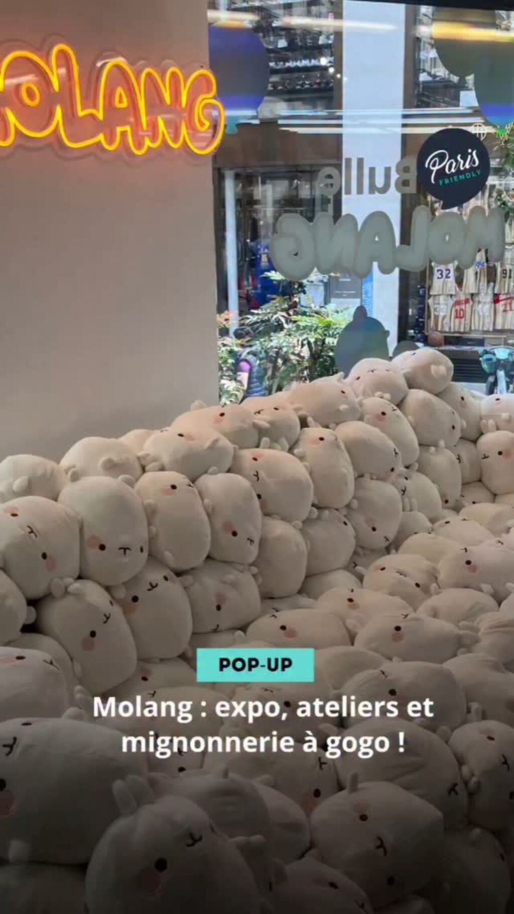Molanv
