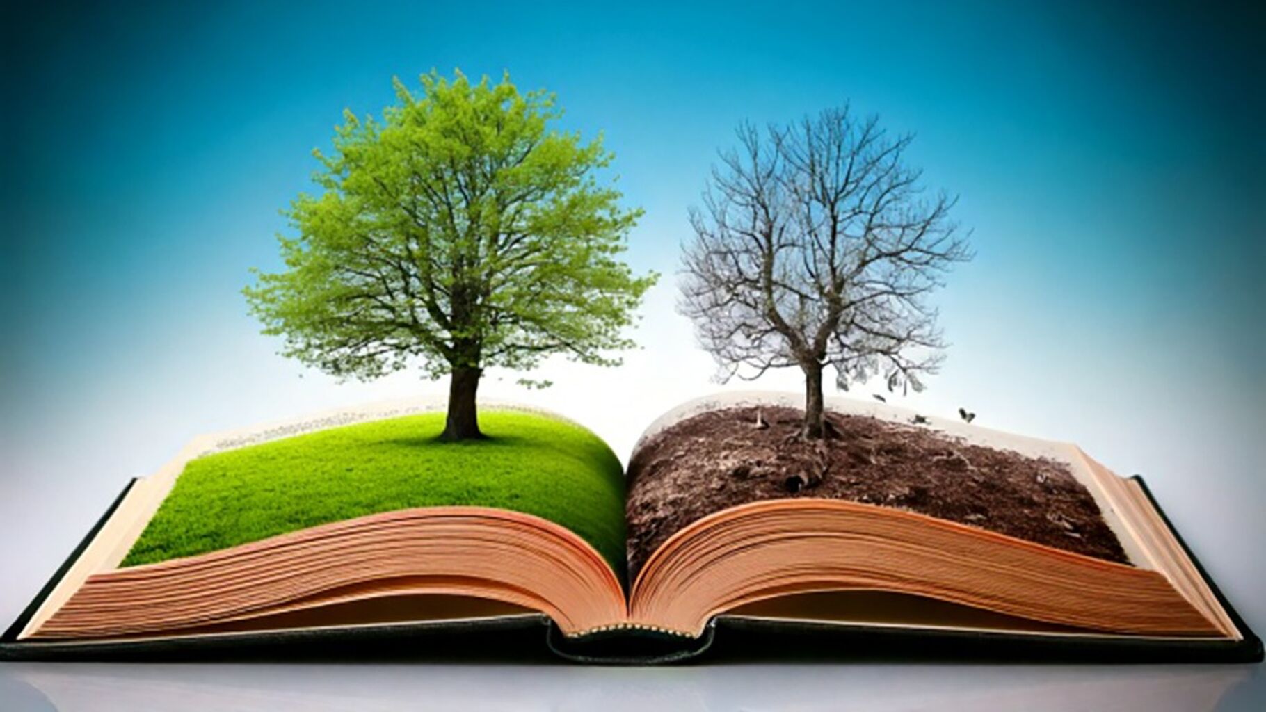 Sign the 'Eco Grief' Petition