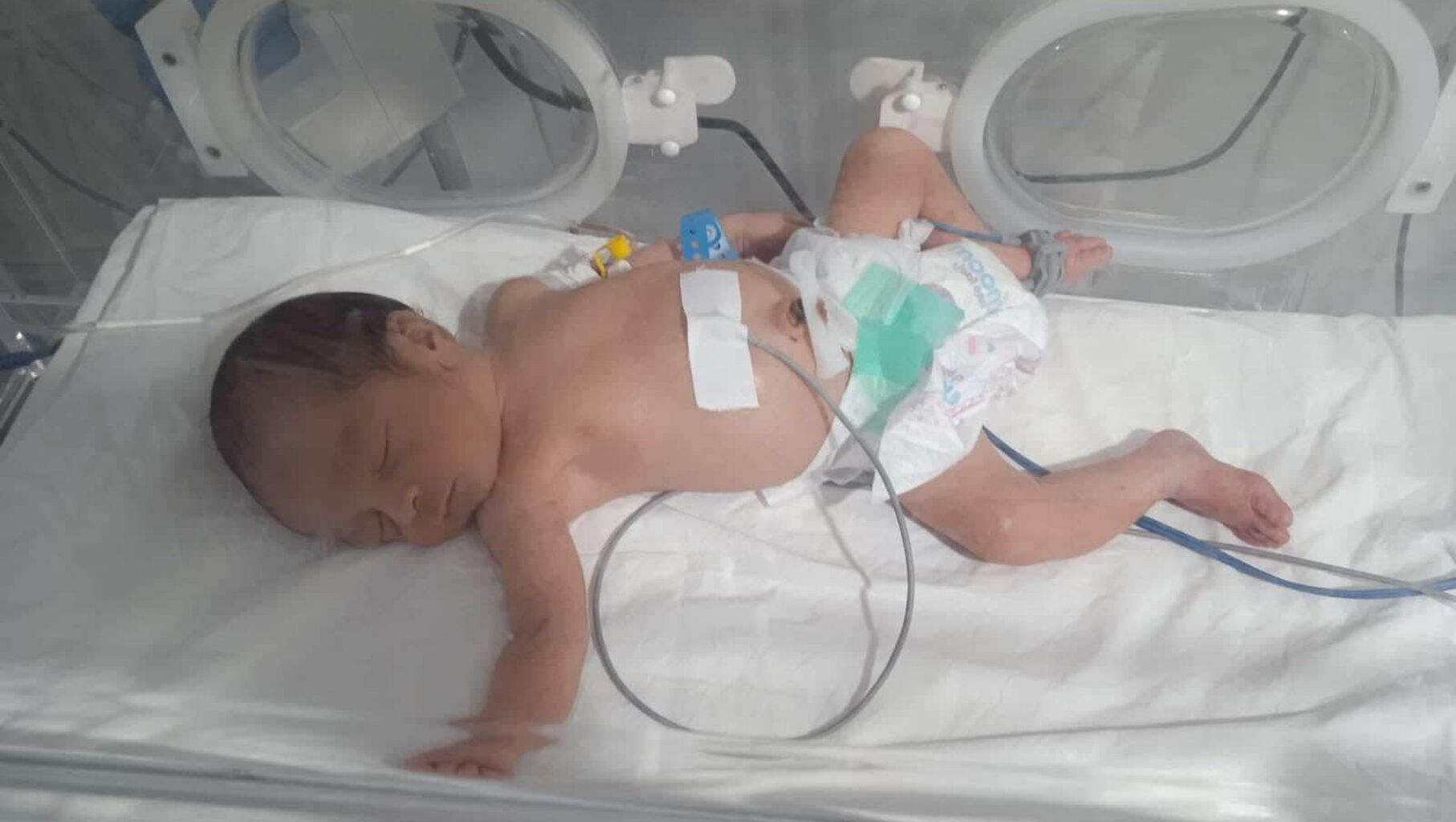 Donate to Help me build new hope for my family please, organised by Shaymaa  Alghoul