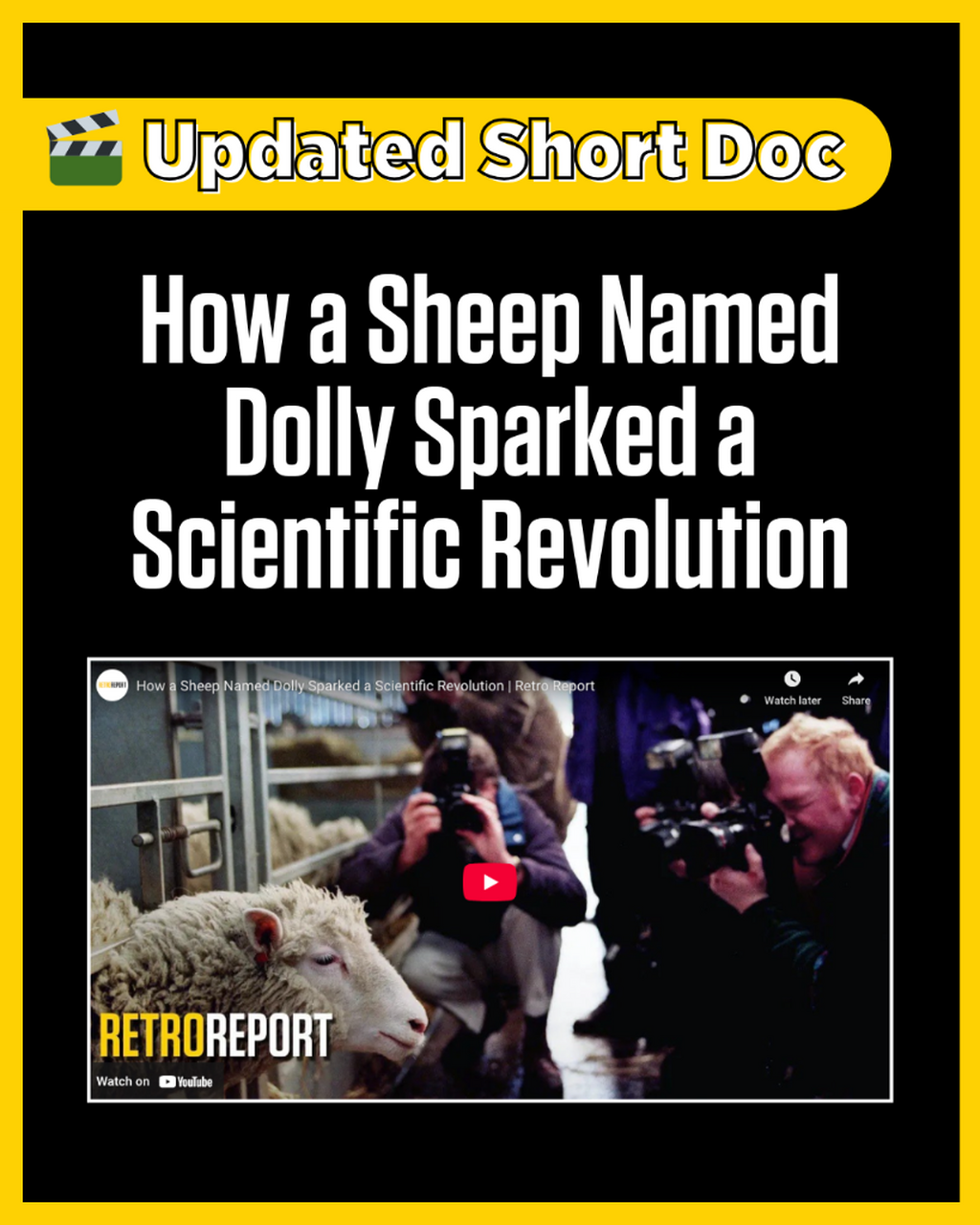 How a Sheep Named Dolly Sparked a Scientific Revolution