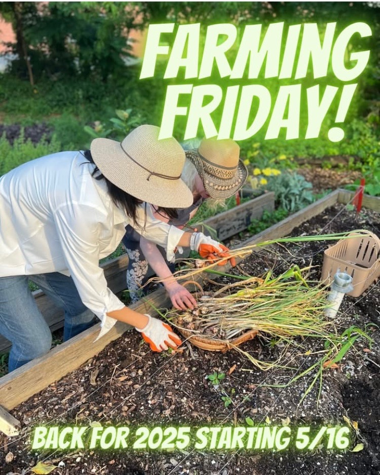 5/16, 5-sunset | Farmy Friday (Smiling Hogshead Ranch)