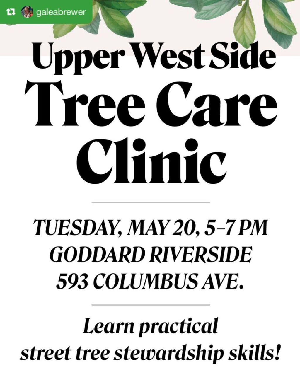 5/20, 5pm | TREEM Team Tree Clinic (Goddard Riverside)