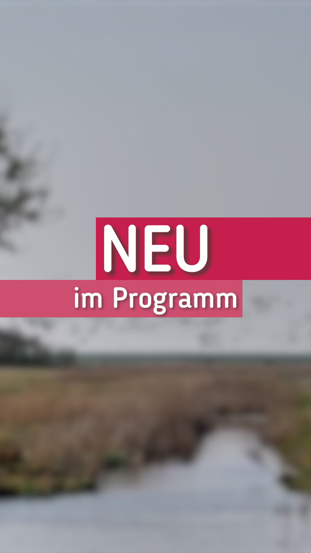 Sendeplatz bei NRWision