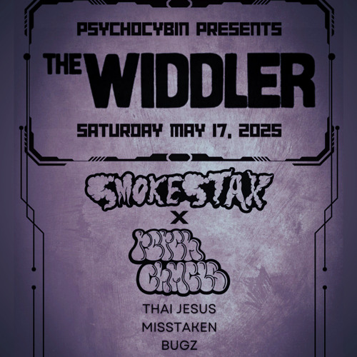 Misstaken @ The Banyan Live (The Widdler) 5/17/2025
