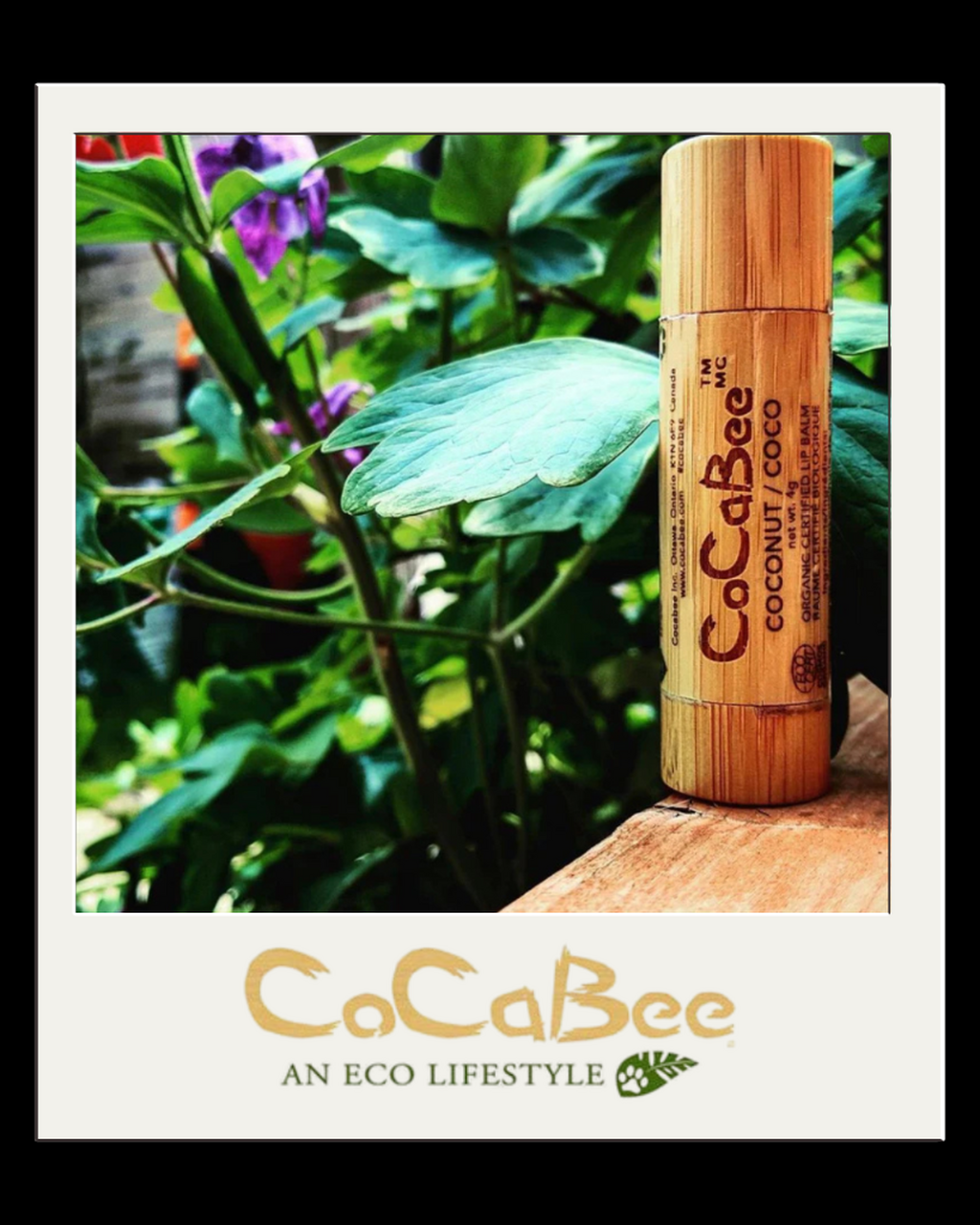 CocaBee natural lip balm lip care bamboo