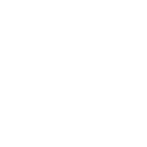 2gis