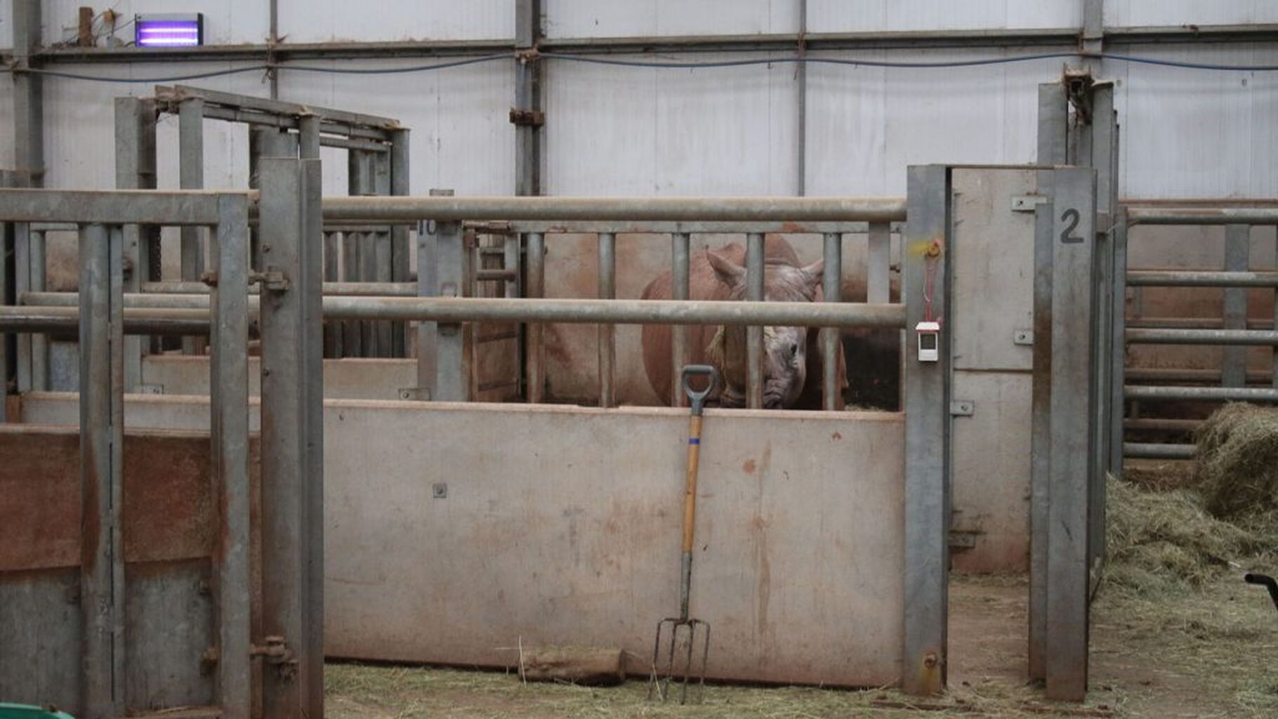 Planning application for new zoo in Cumbria denied