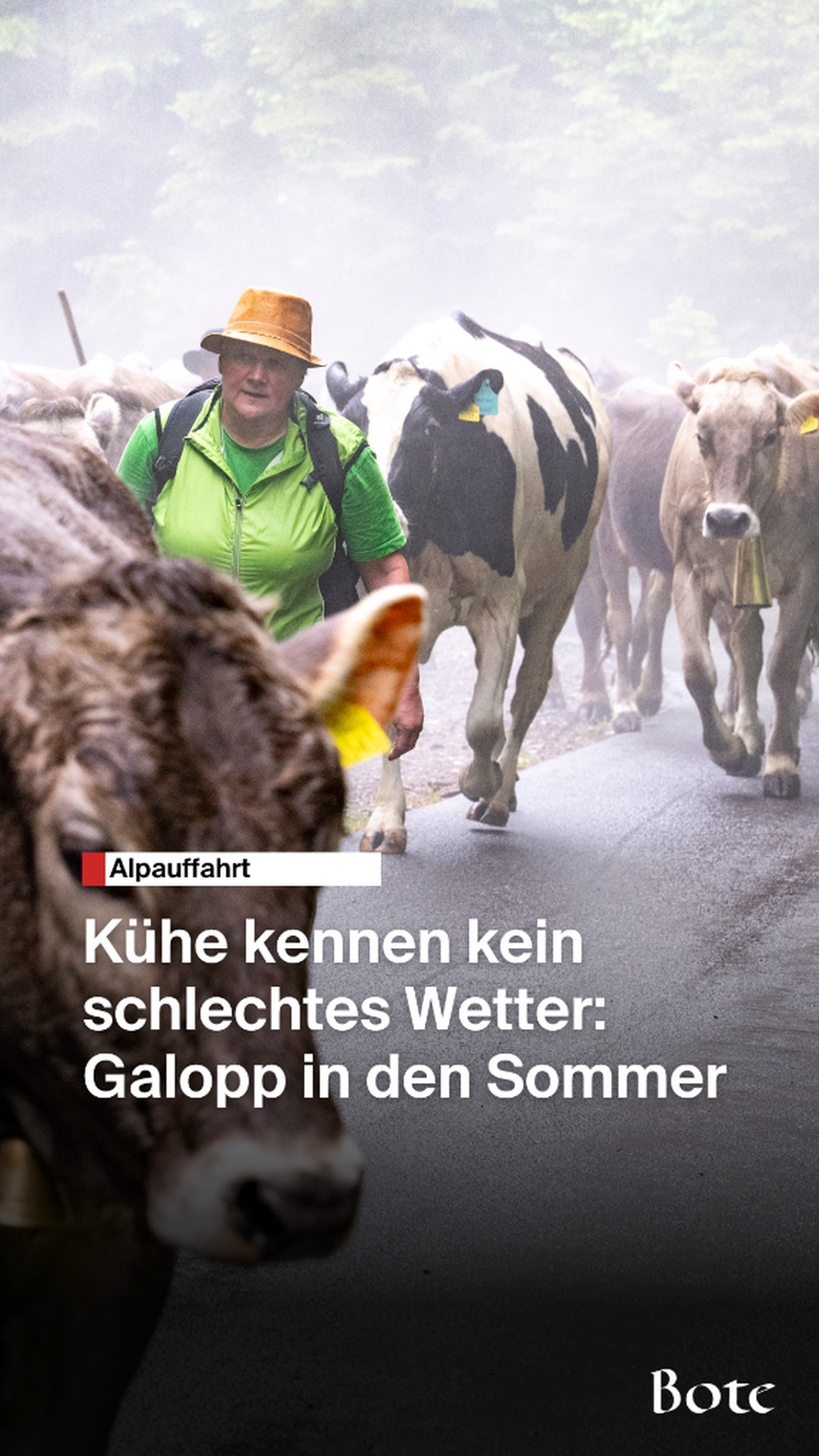 Alpaufzug